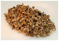 Чай белый Ronnefeldt TeaStar White Yin Long (Белый Инь Ланг),100г. Чай белый Ronnefeldt TeaStar White Yin Long (Белый Инь Ланг),100г.